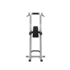 REAR CHIN / DIP / LEG RAISE STATION - obrazek 3